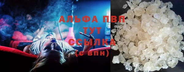 прущие грибы Нефтекумск