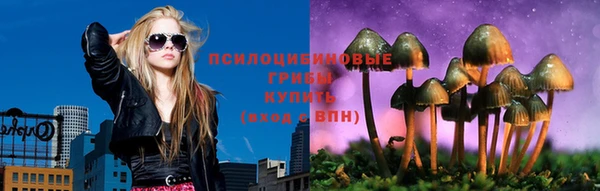 прущие грибы Нефтекумск