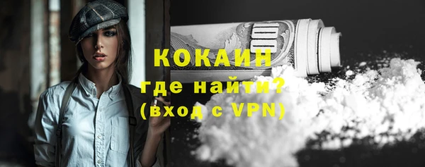 прущие грибы Нефтекумск