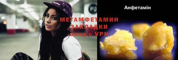 прущие грибы Нефтекумск