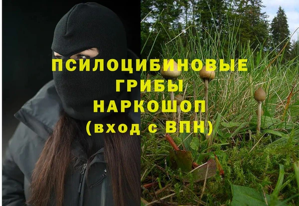mix Нея