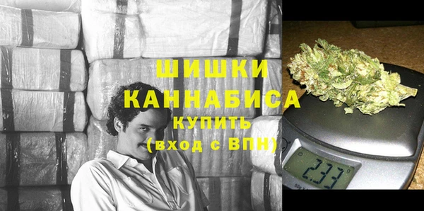 прущие грибы Нефтекумск