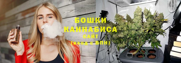 прущие грибы Нефтекумск