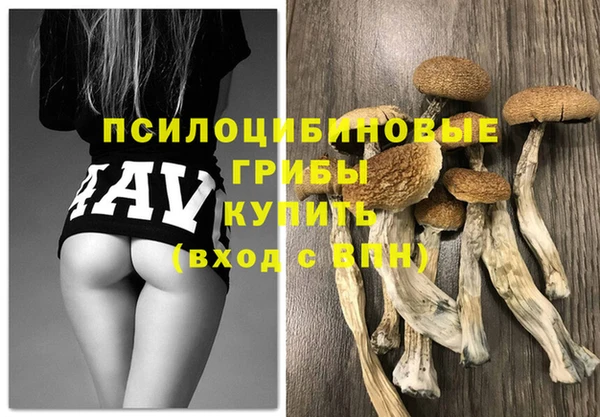 MDMA Premium VHQ Нефтегорск