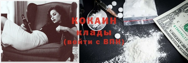прущие грибы Нефтекумск