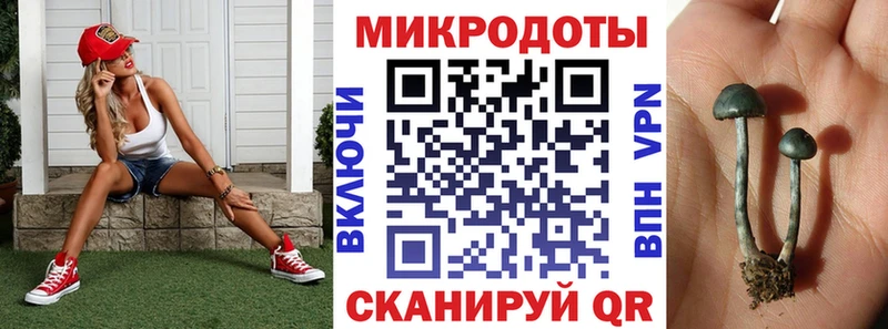 Галлюциногенные грибы MAGIC MUSHROOMS  Купить  Пенза 